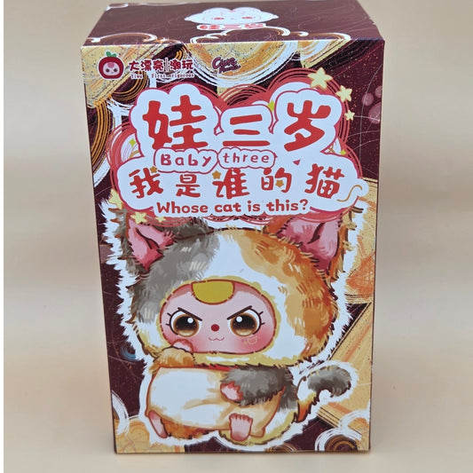 Baby Three - Whose cat is this? - Confirmed