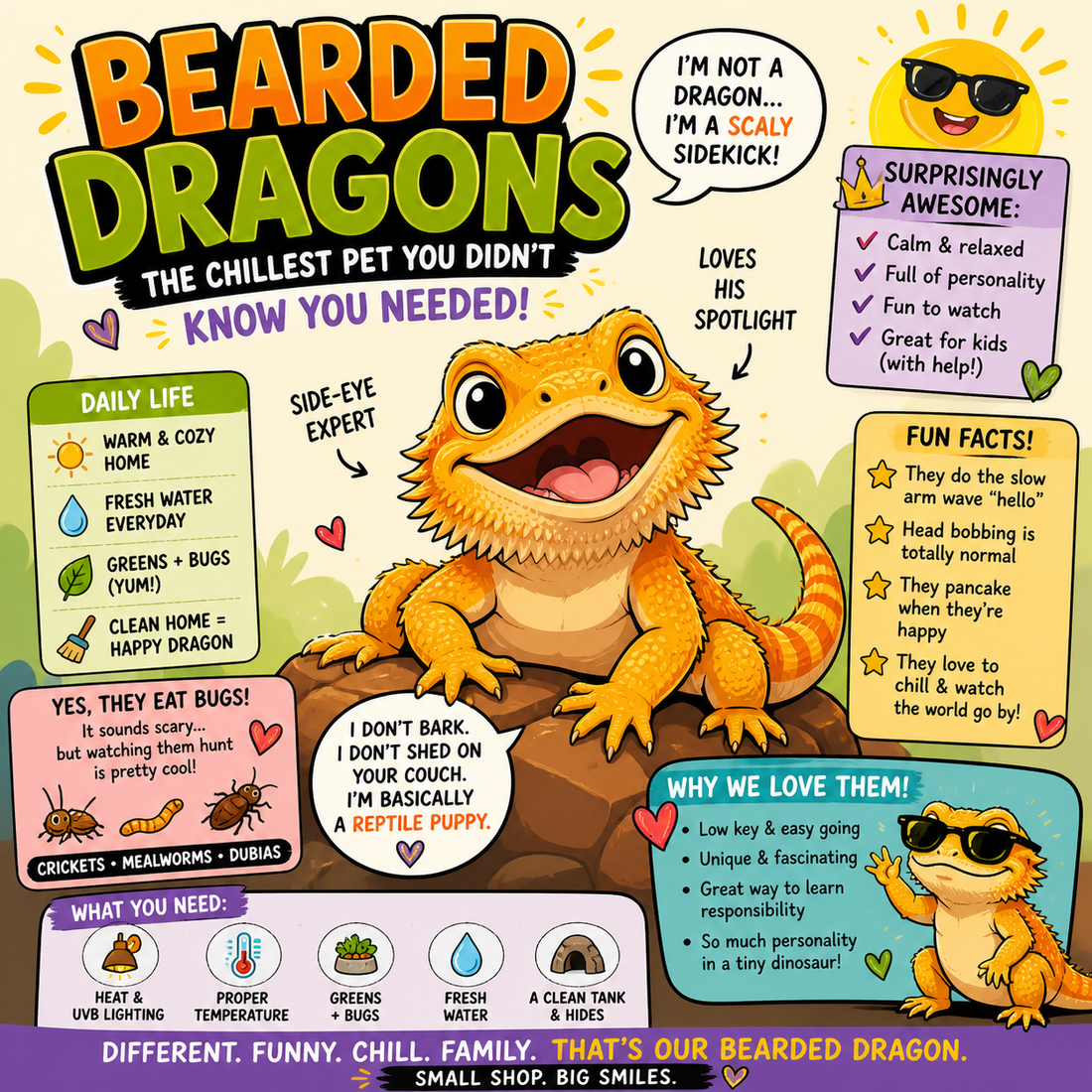 Life With a Bearded Dragon: The Chillest Pet You Didn’t Know You Needed