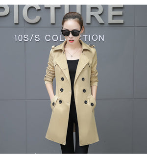 Dark Khaki Cloth Color