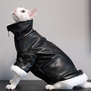 High Collar Leather Jacket