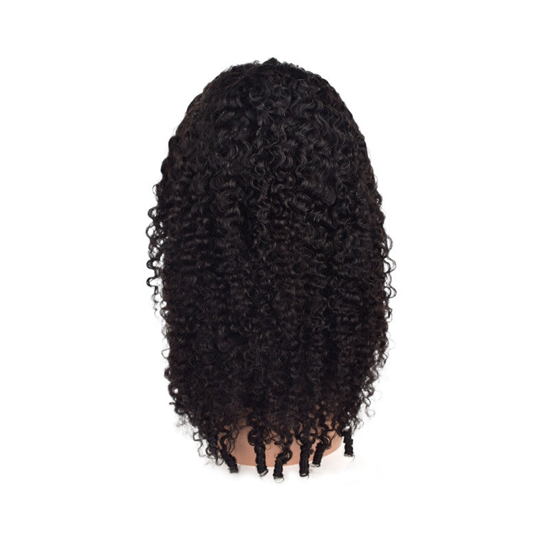 Human Hair Wig Full-head Wig