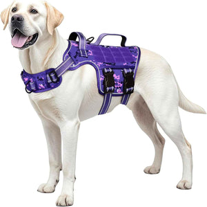 Purple Camo