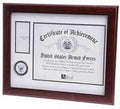 U.S. Navy Medallion Certificate and Medal Frame