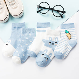 Blue rabbit