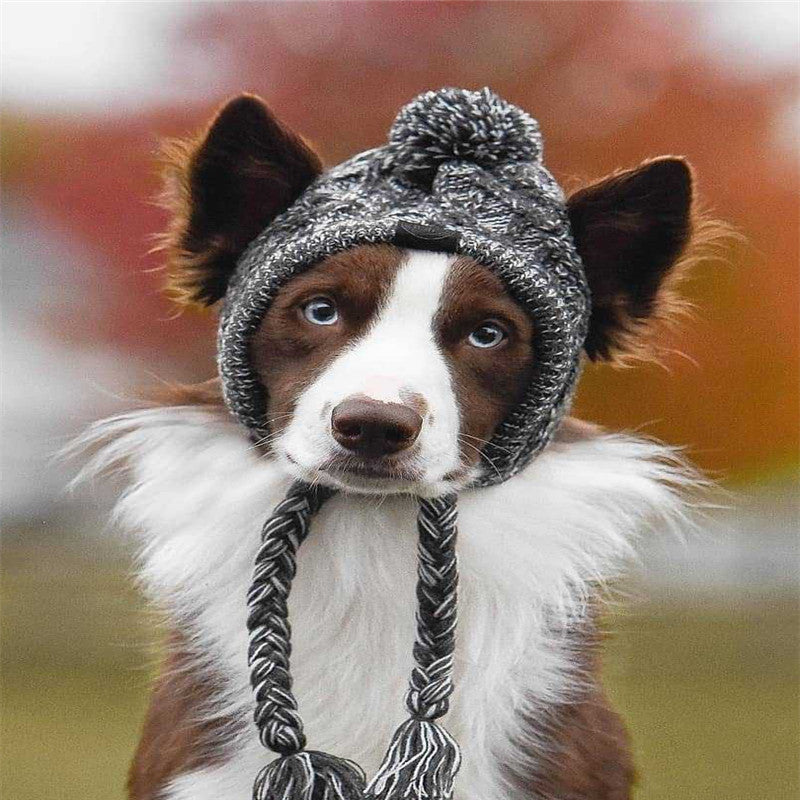 Pet dog autumn and winter woolen hat