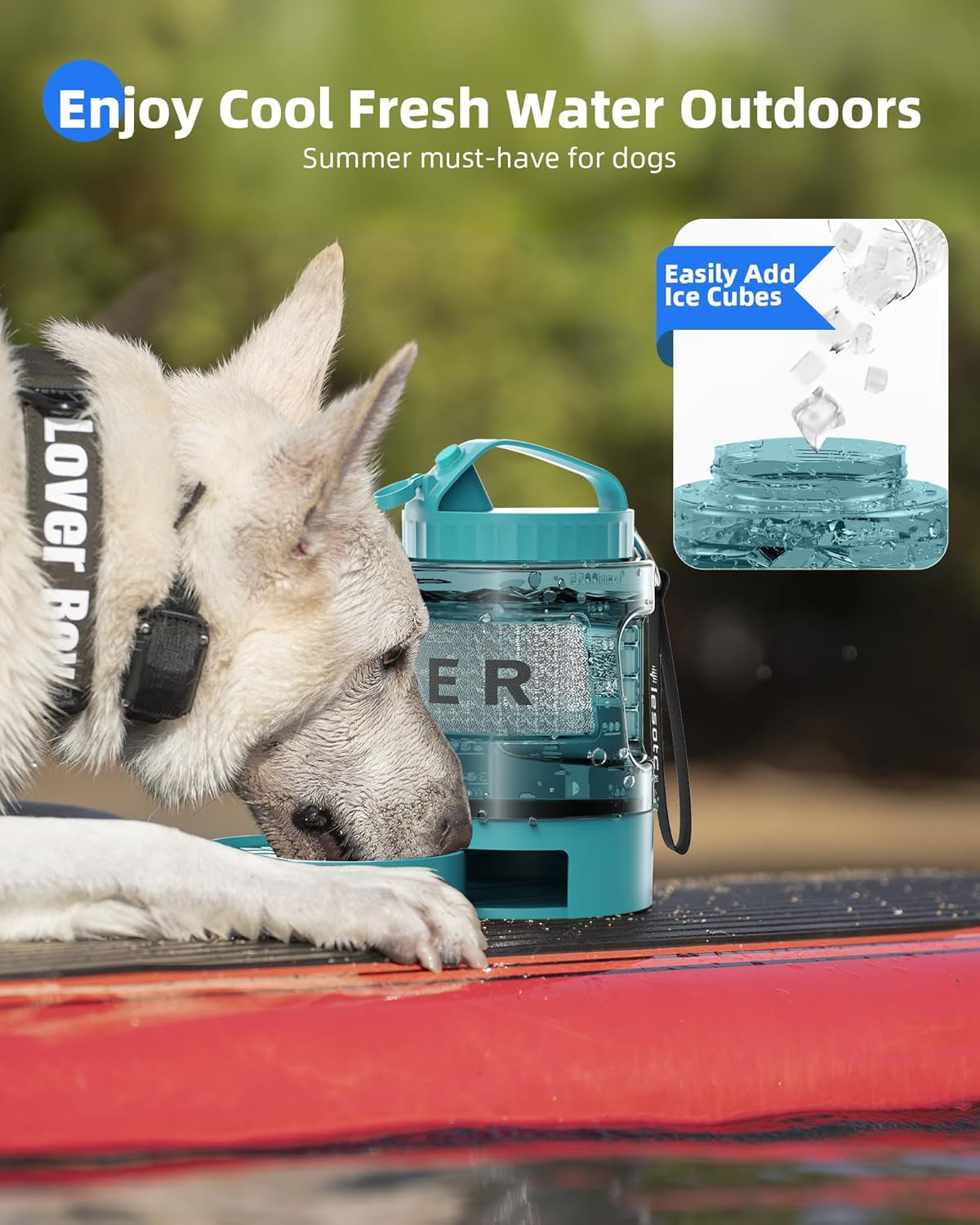 77oz Dog Travel Water Bottle with Bowl, Leak Proof