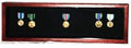 Large Medal Display Case - OAK