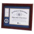 U.S. Air Force Medallion Certificate and Medal Frame.