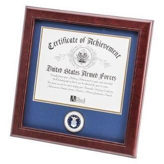 U.S. Air Force Medallion Certificate Frame