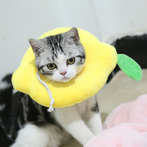 Adjustable Pet Neck Cone Recovery Pet Cat Recovery Collar Cat Soft Lemon Neck Cone Adjustable Pet E Collar After Surgery, Wound Healing Protective Cat Elizabethan Collar For Kitten & Puppy