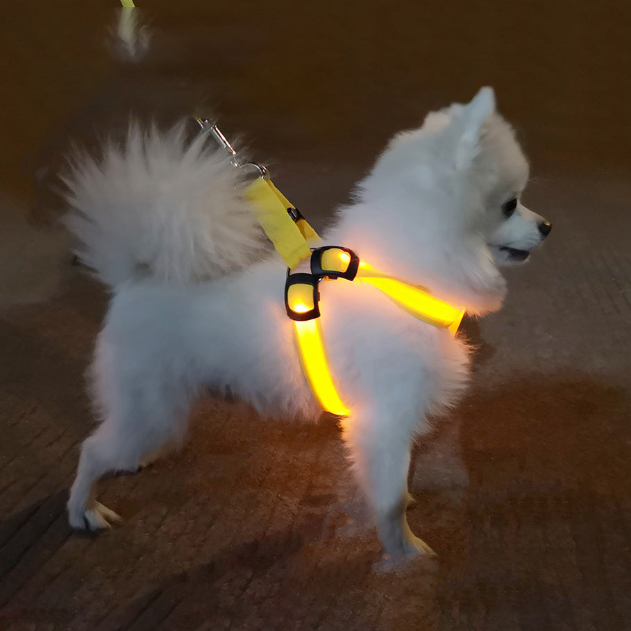 Dog Leashing Vest With Led Illuminated Chest Back