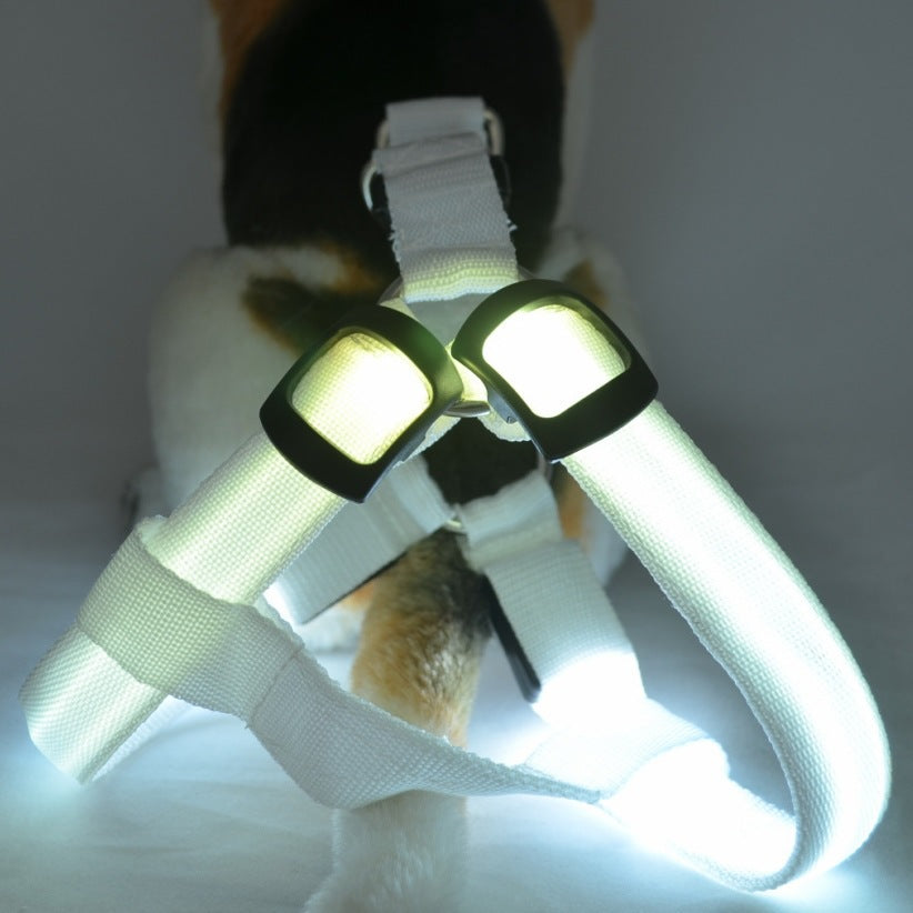 Dog Leashing Vest With Led Illuminated Chest Back