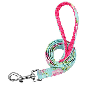Mint green leash