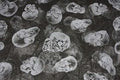 Skull Cloth Prop 30'' x 118'' Halloween Decoration