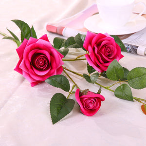 Rose Red