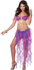 Pink & Purple Belly Dancer Sexy Adult Costume XS 4-6