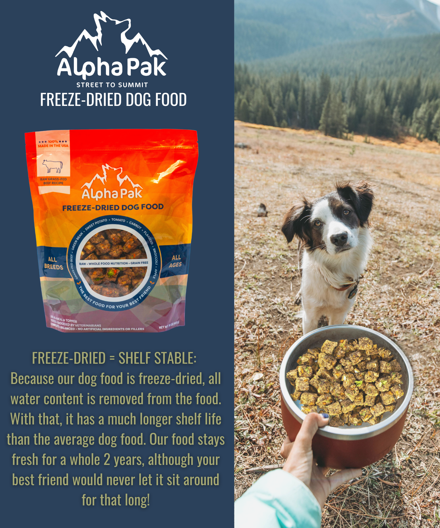 Freeze-Dried Raw Beef — Formulated for Dog Longevity