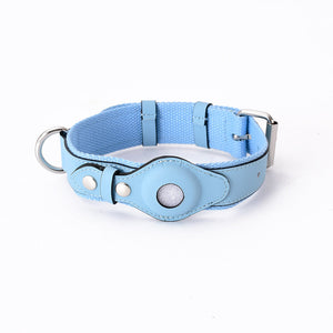 Whale Blue