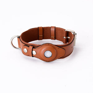 Bear Brown