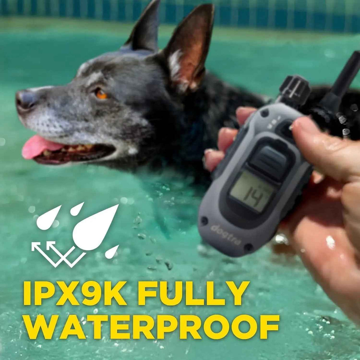 Dogtra 280X Training Collar – 1/2 Mile, Waterproof LED