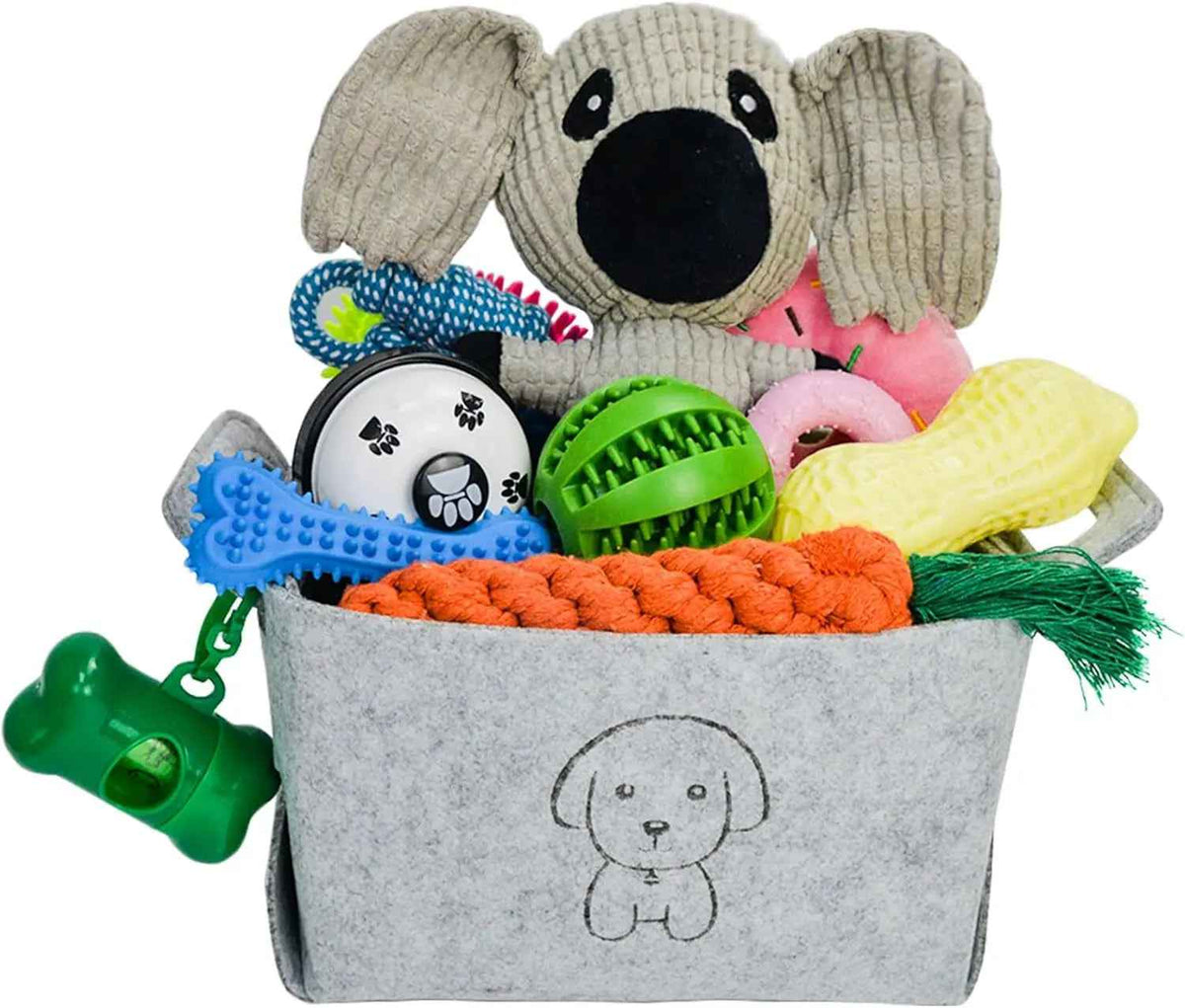 20-Piece Puppy Teething Chew Toy Set with Storage Basket