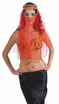 Red Harem Desert Princess Veil Headpiece