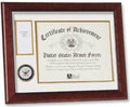 Flags Connections United States Navy Medal And Award Frame.