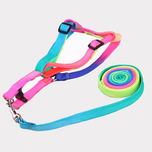 Color