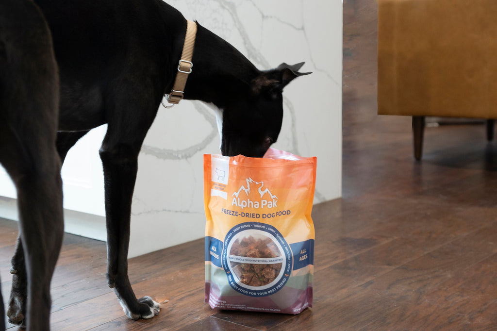 Freeze-Dried Raw Beef — Formulated for Dog Longevity