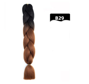 B29