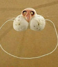 Rubber White Cat Nose on Elastic Band Funny Animal Pet