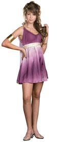 Dreamgirl Girl's Gorgeous Grecian Goddess Purple Ombre Costume Dress Teen M 7-9