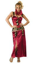 Incharacter Women's Sexy Deluxe Desert Harem Belly Dancer Adult Costume Large
