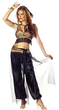 California Costumes Women's Sexy Egyptian Belly Dancer Adult Costume Medium 8-10