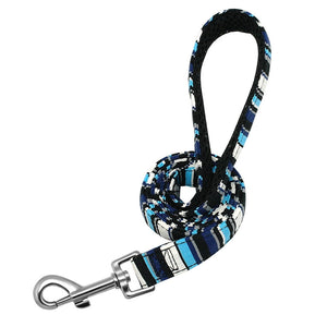 Stripe leash