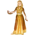 Fun World Girl's Arabian Princess Belly Dancer Child Costume Large 12-14