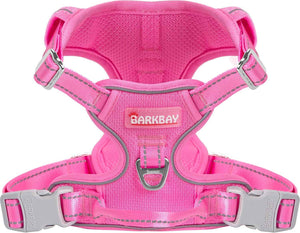 Pink-Mesh