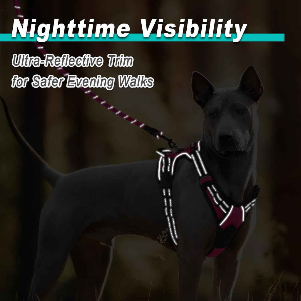 No-Pull Reflective Dog Harness Oxford Vest