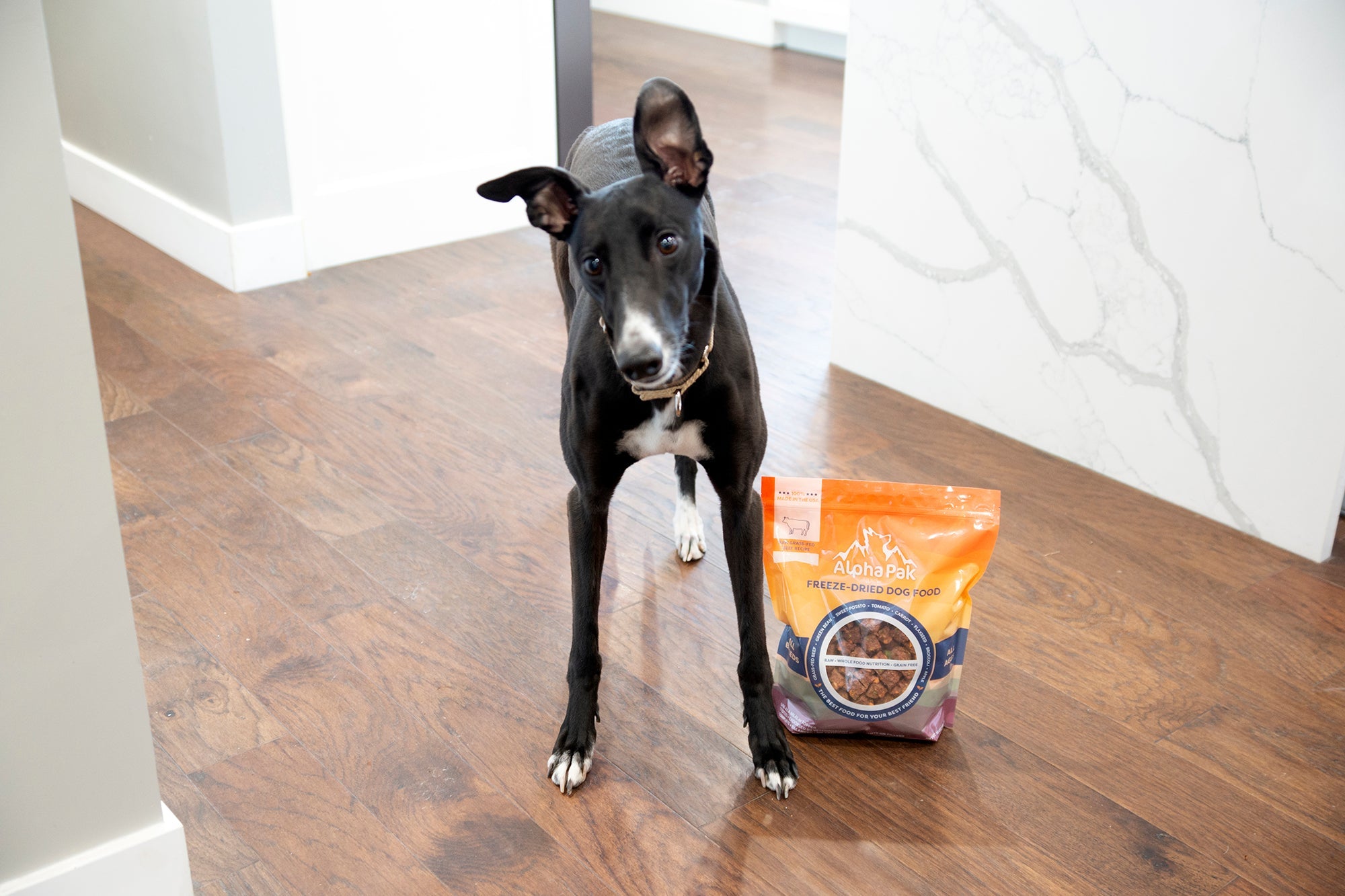 Freeze-Dried Raw Beef — Formulated for Dog Longevity