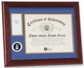 United States Air Force Medal and Award Frame.