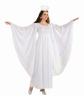 Angel White Adult Dress and Halo Standard Size Costume