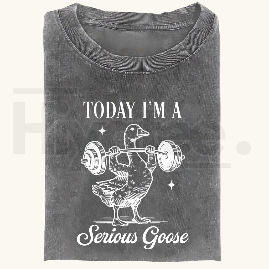 Funny Goose Gym Vintage Washed T-Shirt – Heavyweight 230g Graphic Oversized Tee