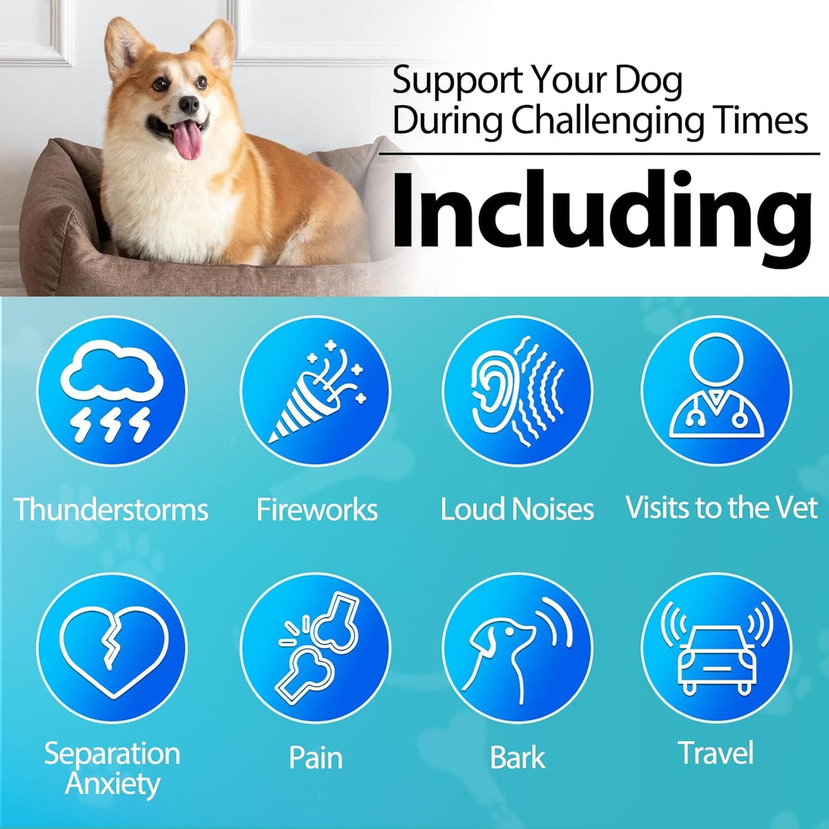 Hemp Calming Chews for Dogs – 200 Count