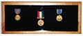 Small Medal Display Case - Oak