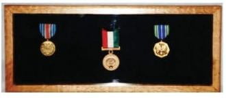 Small Medal Display Case - Oak