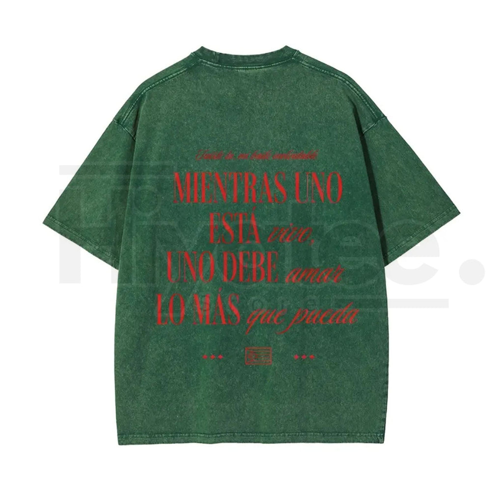 Seguimo Aqui Sapo Concho Vintage Washed Tee – DTMF Inspired Puerto Rican Reggaeton Streetwear
