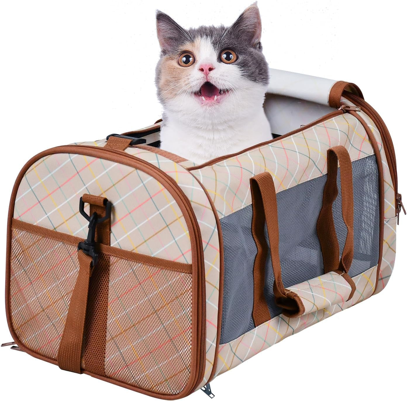 Soft-Sided Pet Carrier for Cats & Small Dogs, 22 lb, 19-Inch