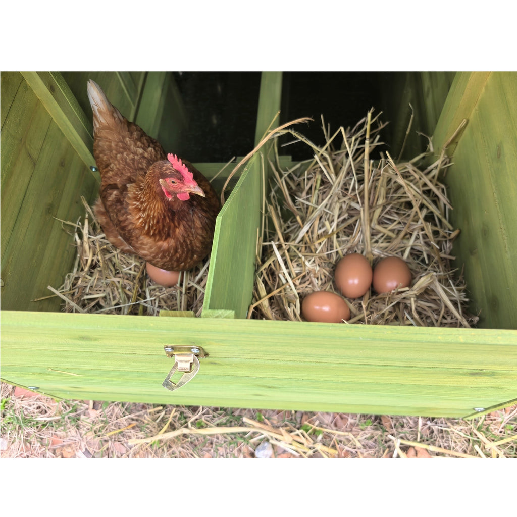 70" Automatic Chicken Coop with Solar-Powered Door
