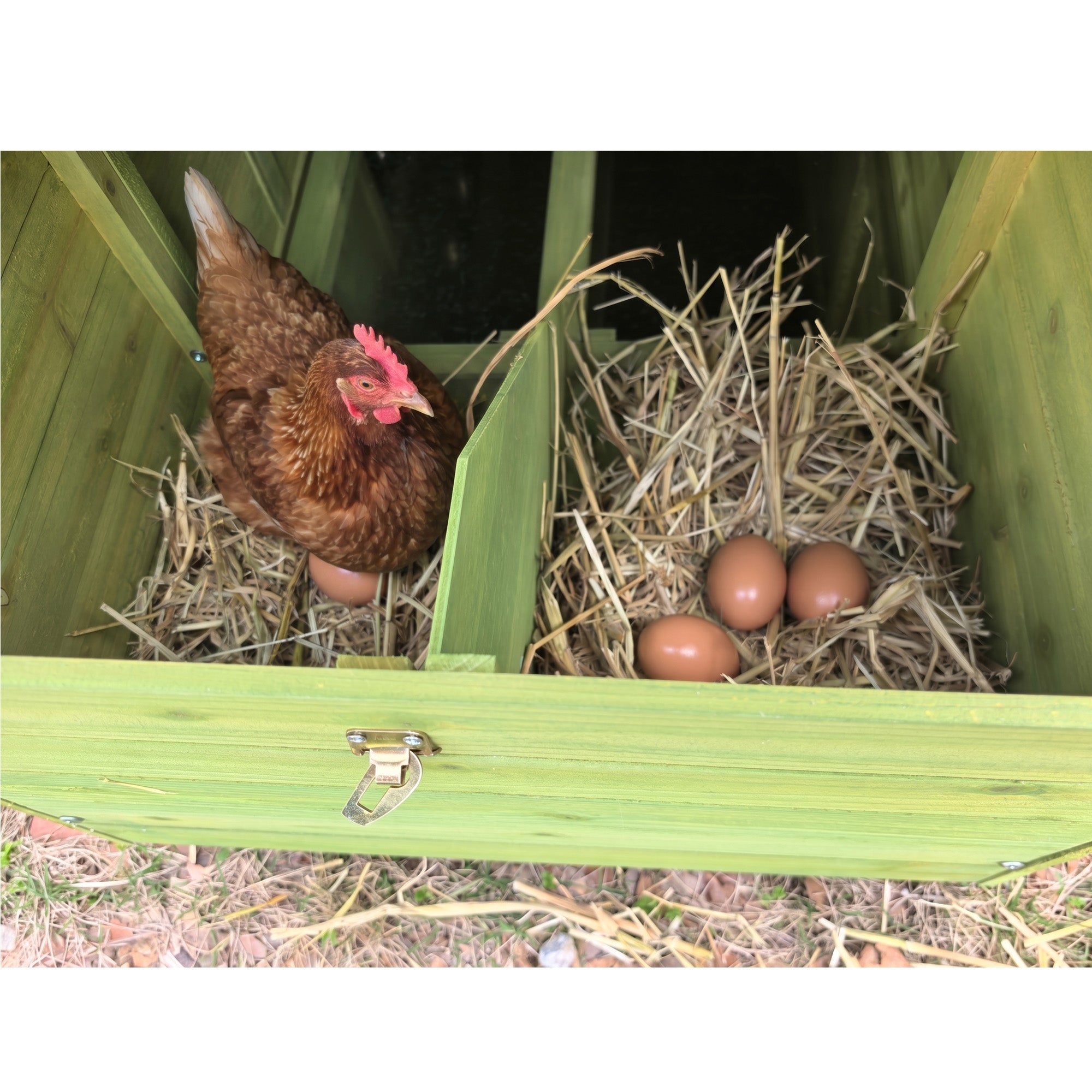 70" Automatic Chicken Coop with Solar-Powered Door