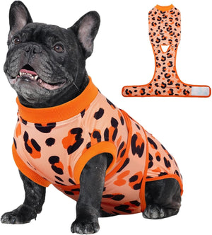 Orange Leopard